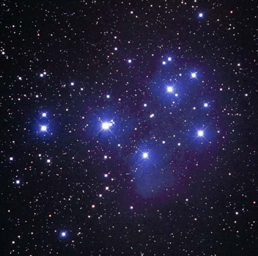 �v���A�f�X���c