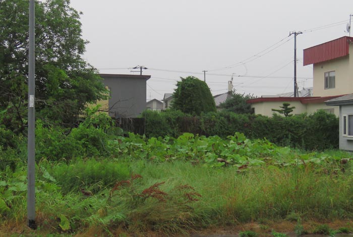 webnews�����̖k��