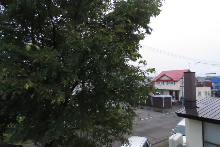 webnews�����̖k���^���̋�