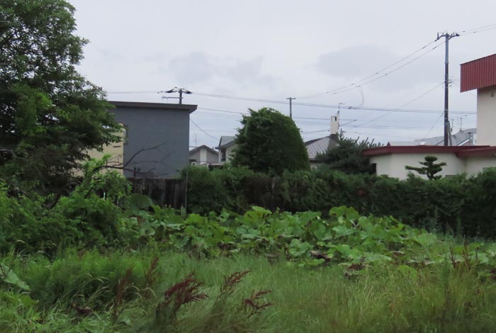 webnews�����̖k��