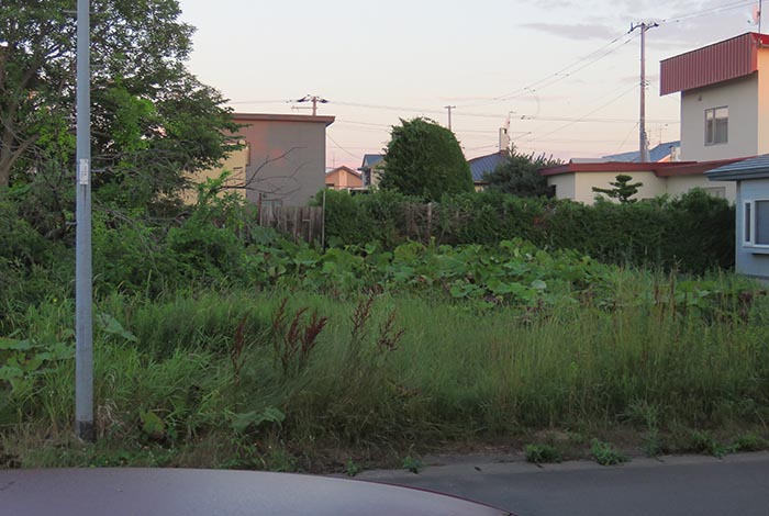 webnews�����̖k��