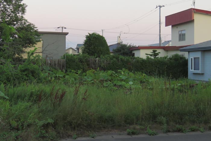 webnews�����̖k��