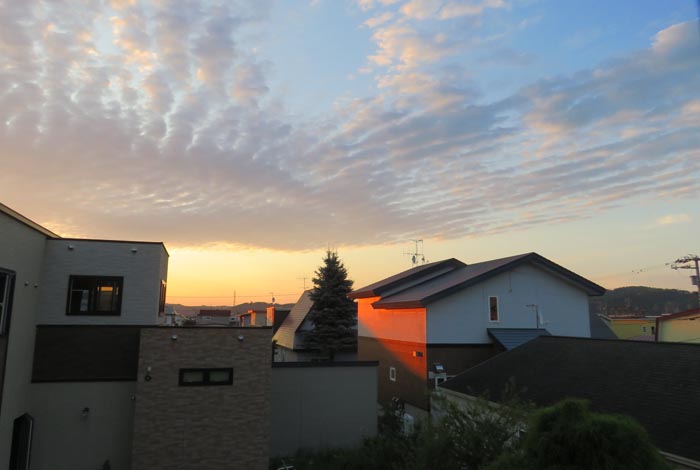 webnews�����̖k���^���̋�