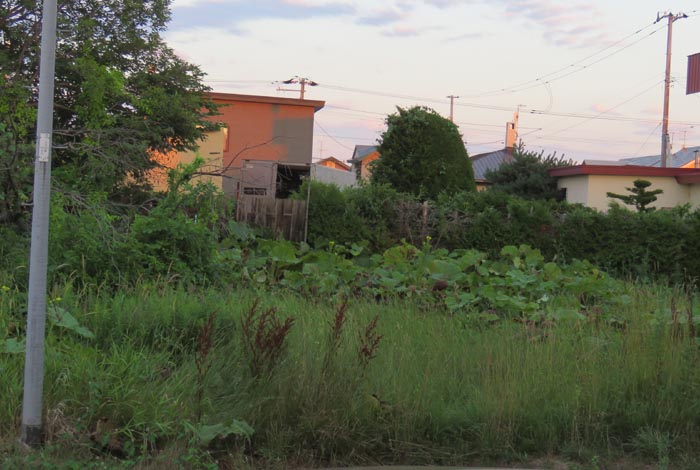 webnews�����̖k��