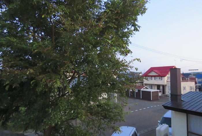 webnews�����̖k���^���̋�