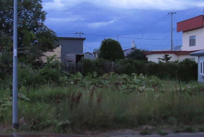 webnews�����̖k��