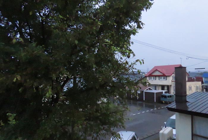 webnews�����̖k���^���̋�