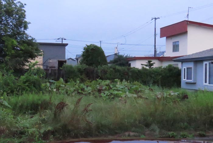 webnews�����̖k��