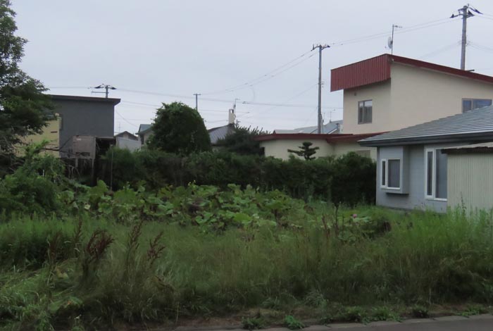 webnews�����̖k��