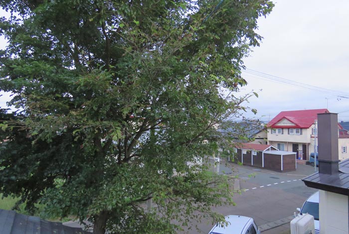 webnews�����̖k���^���̋�