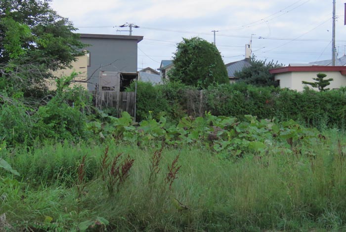 webnews�����̖k��