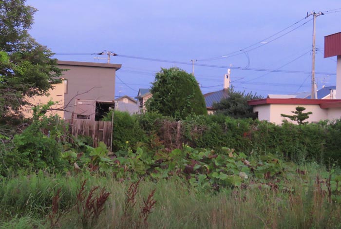 webnews�����̖k��