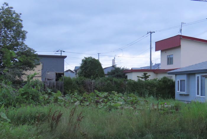 webnews�����̖k��