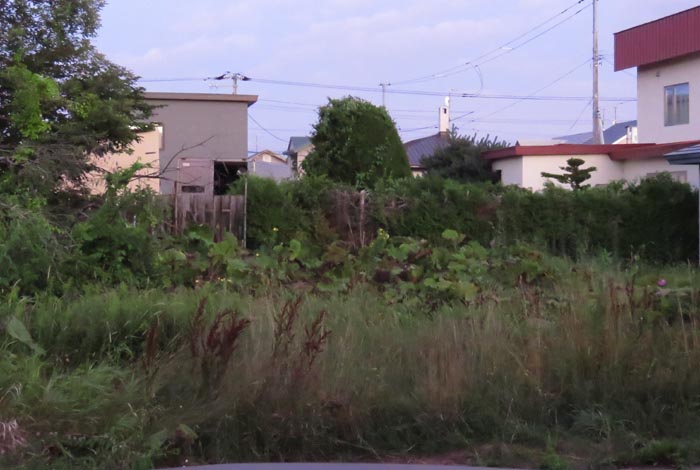 webnews�����̖k��