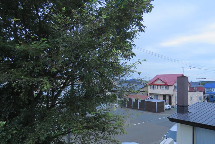 webnews�����̖k���^���̋�