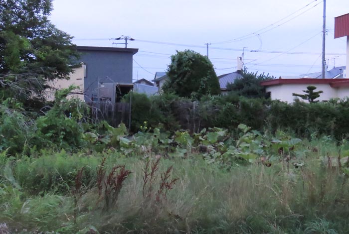 webnews�����̖k��