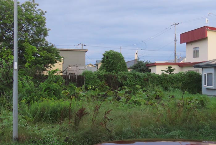 webnews�����̖k��