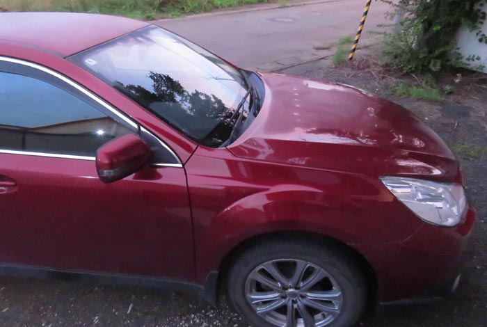 webnews�����̖k��