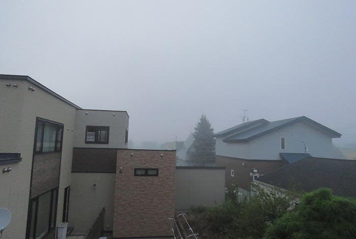 webnews�����̖k���^���̋�