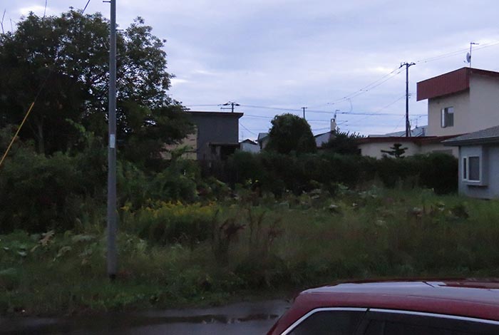 webnews�����̖k��