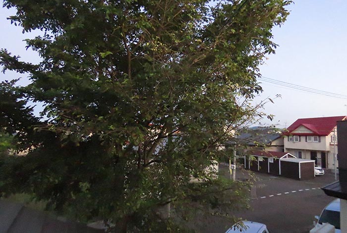 webnews�����̖k���^���̋�