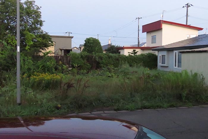 webnews�����̖k��