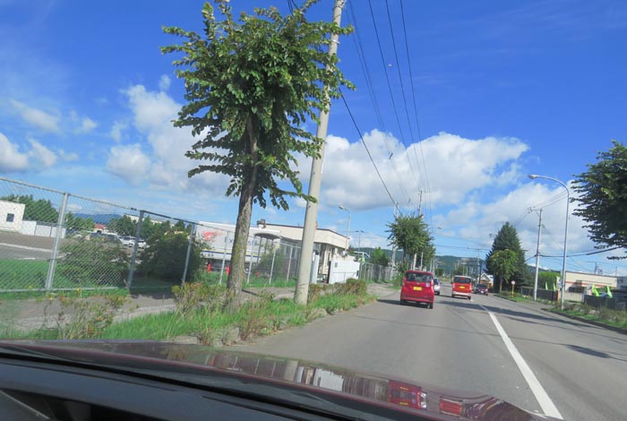 webnews�����̖k���^��ݒʂ�A�쉈��