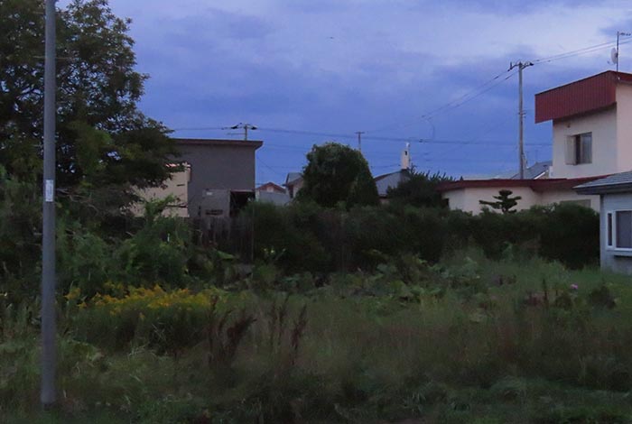 webnews�����̖k��