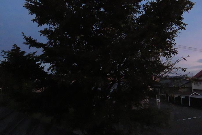 webnews�����̖k���^���̋�