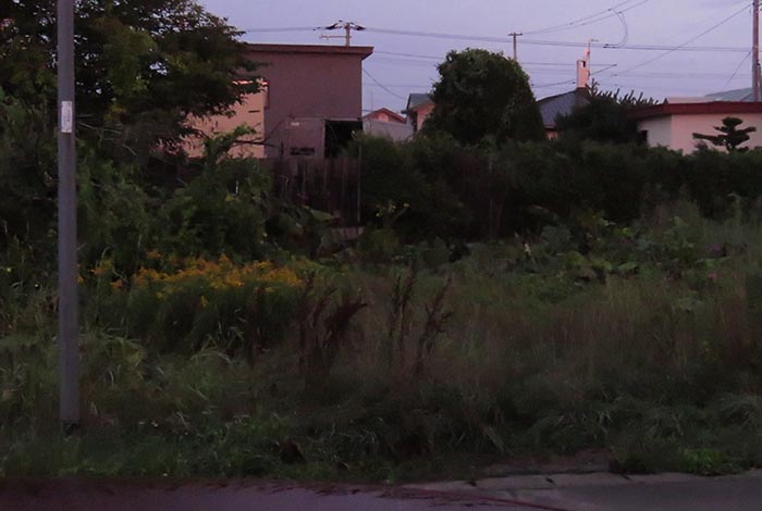 webnews�����̖k��