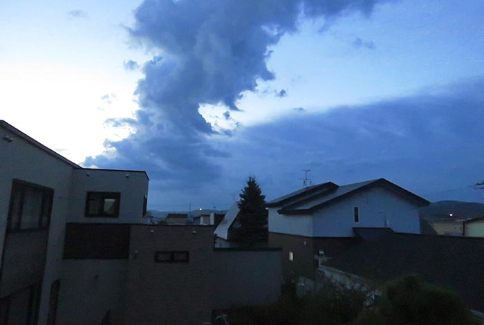 webnews�����̖k���^���̋�