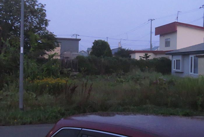 webnews�����̖k��