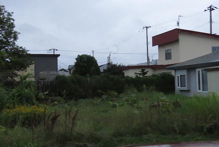 webnews�����̖k��