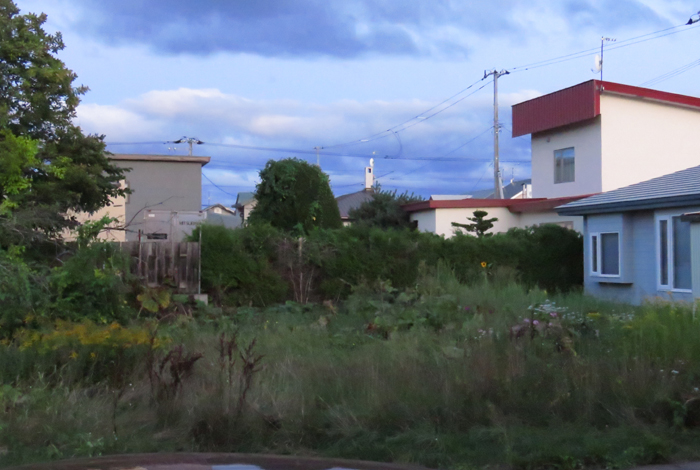 webnews�����̖k��