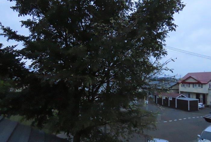 webnews�����̖k���^���̋�