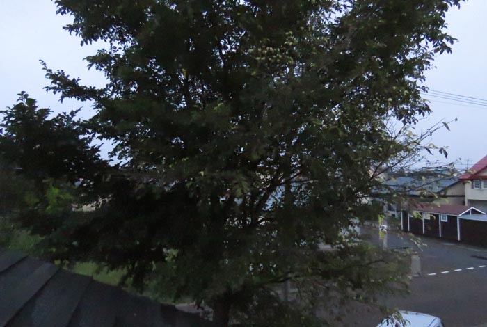 webnews�����̖k���^���̋�