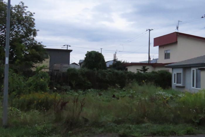 webnews�����̖k��