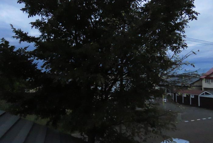 webnews�����̖k���^���̋�