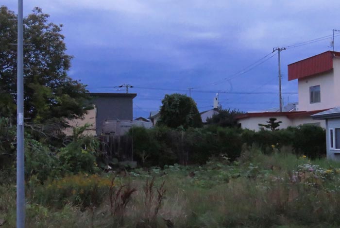 webnews�����̖k��