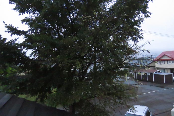 webnews�����̖k���^���̋�