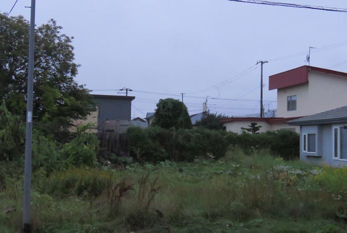 webnews�����̖k��