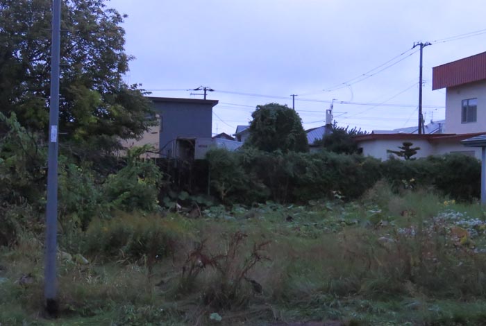 webnews�����̖k��