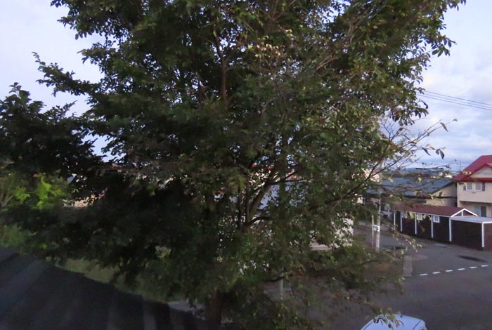 webnews�����̖k���^���̋�