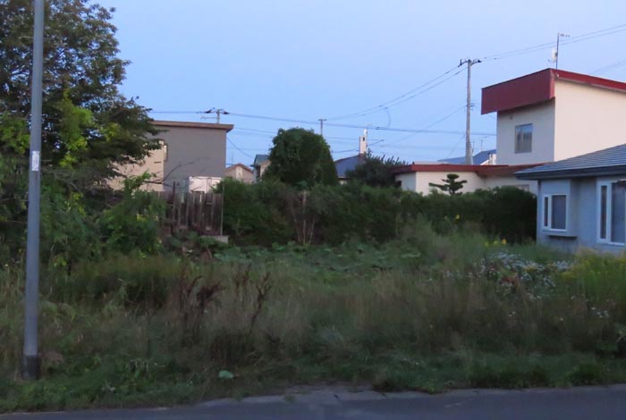 webnews�����̖k��