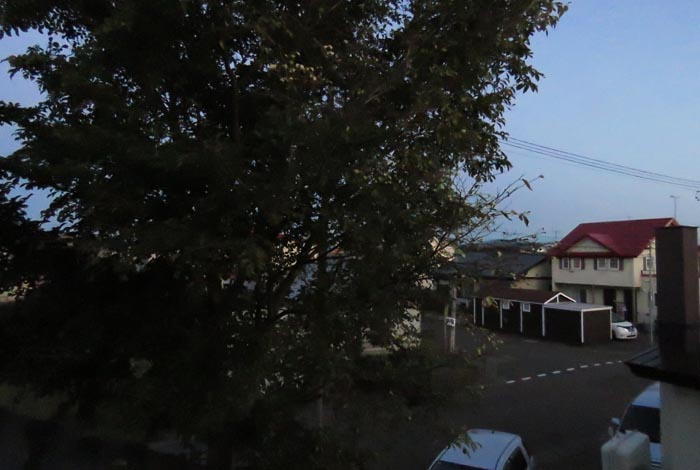 webnews�����̖k���^���̋�