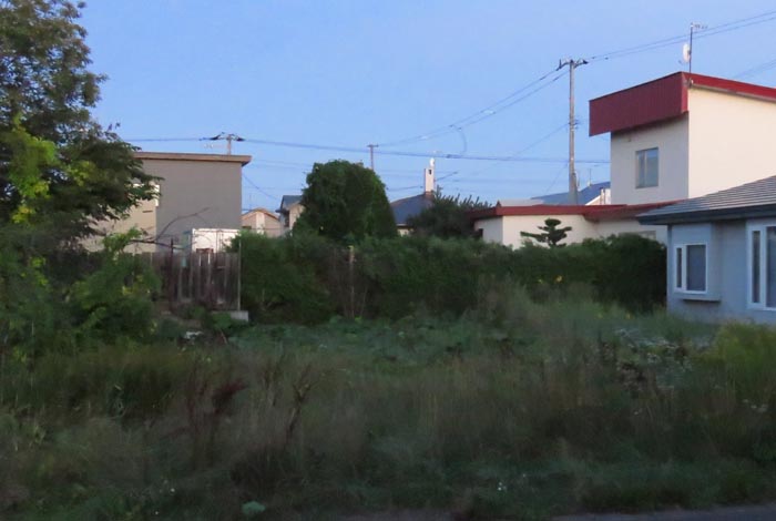 webnews�����̖k��