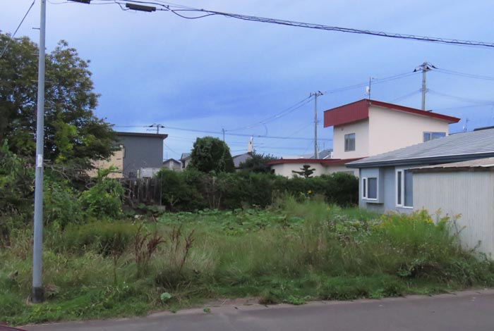 webnews�����̖k��