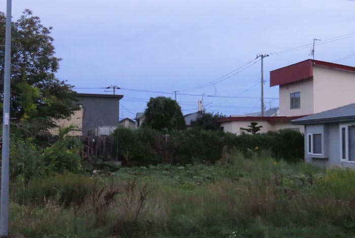 webnews�����̖k��