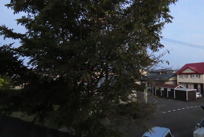 webnews�����̖k���^���̋�