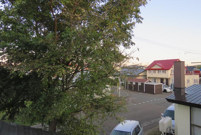 webnews�����̖k���^���̋�